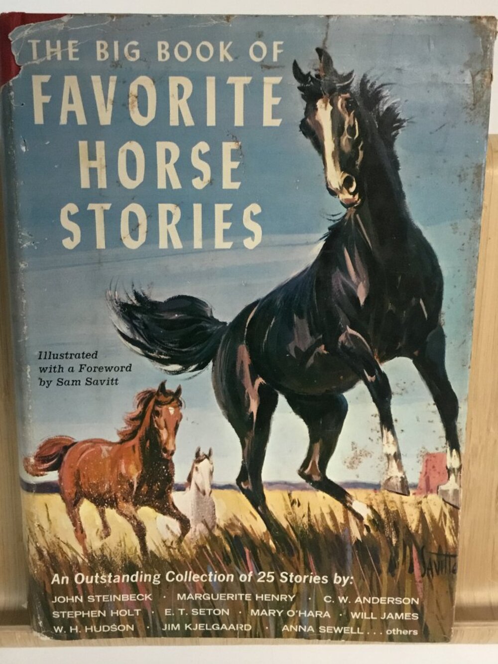 VTG The Big Book of Favorite Horse Stories 1965 Various Authors HBDJ 1st Edition